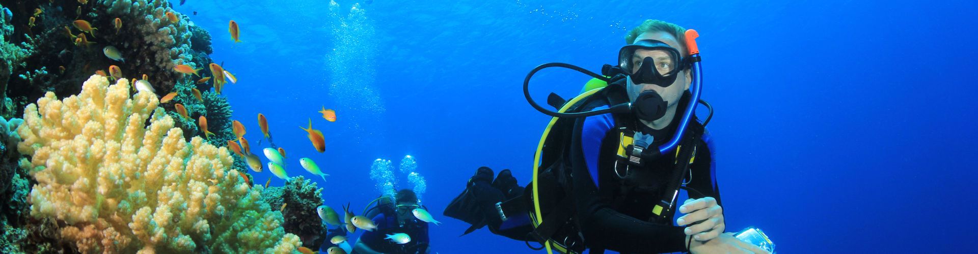 Daedalus - Zabargad - Saint John's